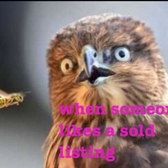 Poshmark Humor - Picture 4 of 10